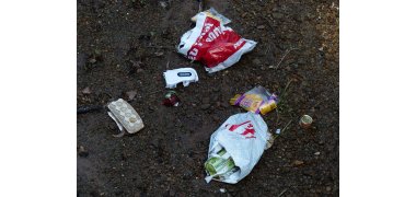 Müll im Wald - Verschmutzung der Natur